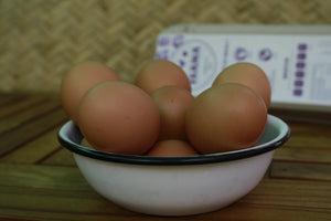 Docena de huevo