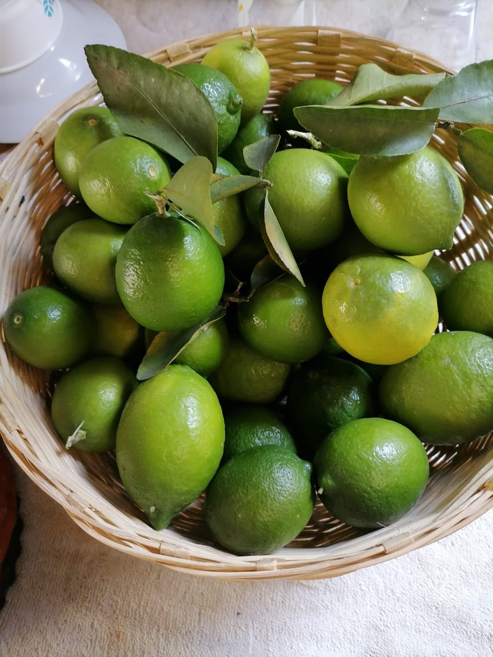 Limón persa sin semilla (1 kg)